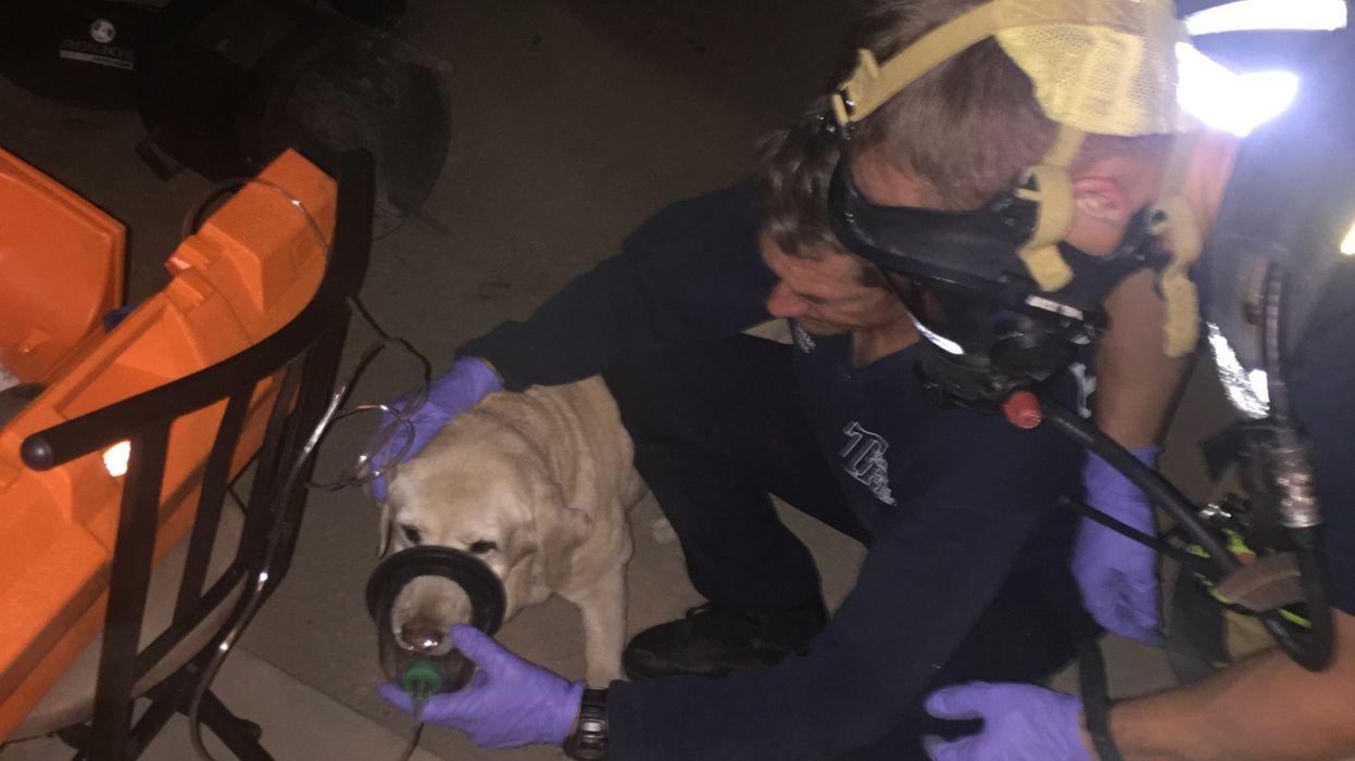 Tucson firefighters take 3 to hospital for carbon monoxide poisoning